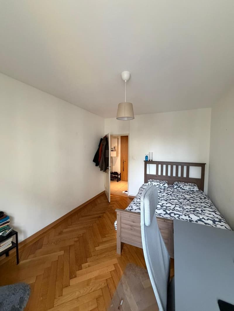 Bel appartement rénové de 2 pièces aux Pâquis (3)