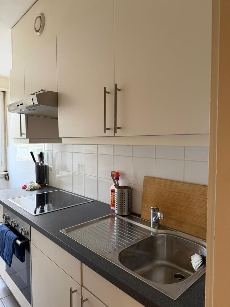 Bel appartement rénové de 2 pièces aux Pâquis (4)