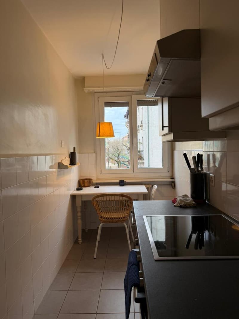 Bel appartement rénové de 2 pièces aux Pâquis (6)
