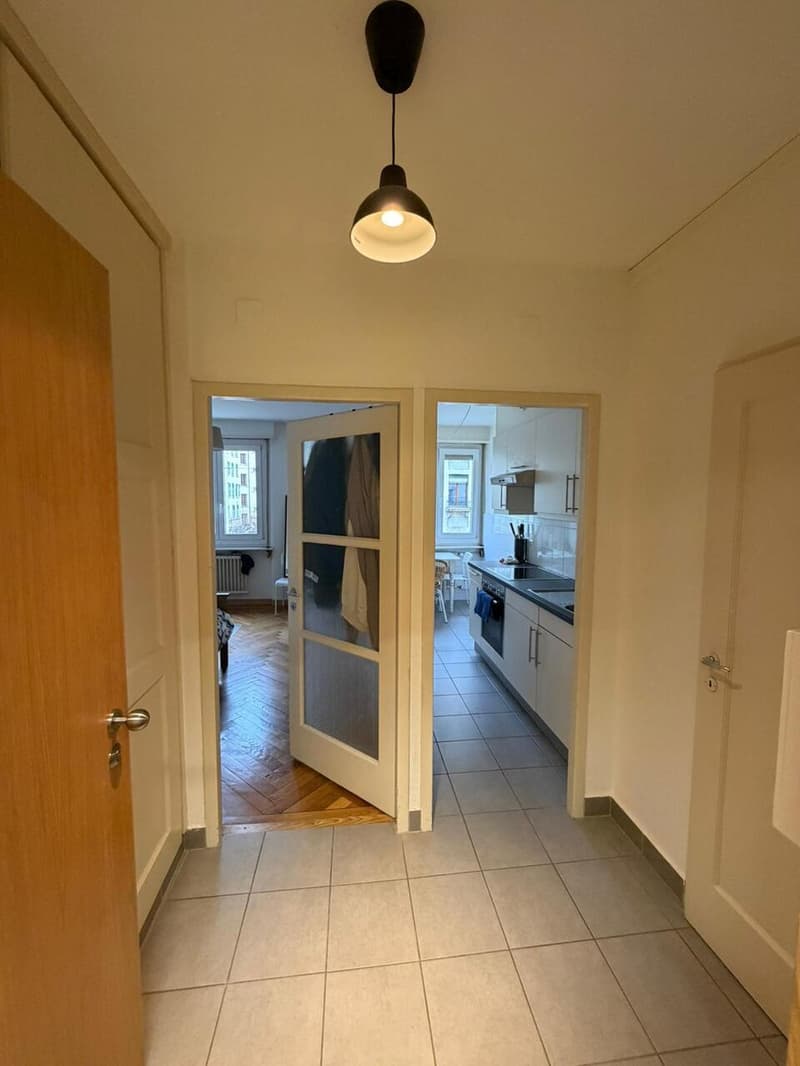 Bel appartement rénové de 2 pièces aux Pâquis (7)