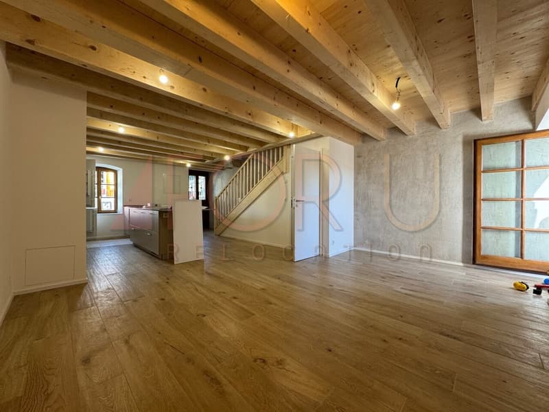 Ancienne ferme transformée en triplex de 5 pièces à Avusy (10)