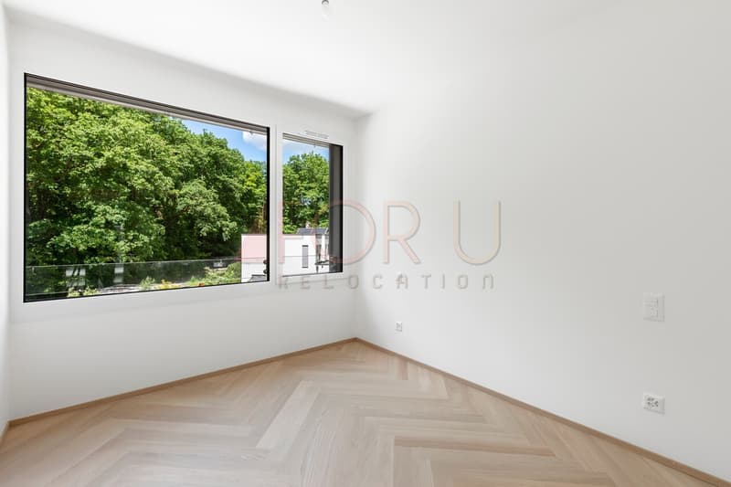 Superbe attique neuf de 4 pièces avec terrasse à Vessy (8)