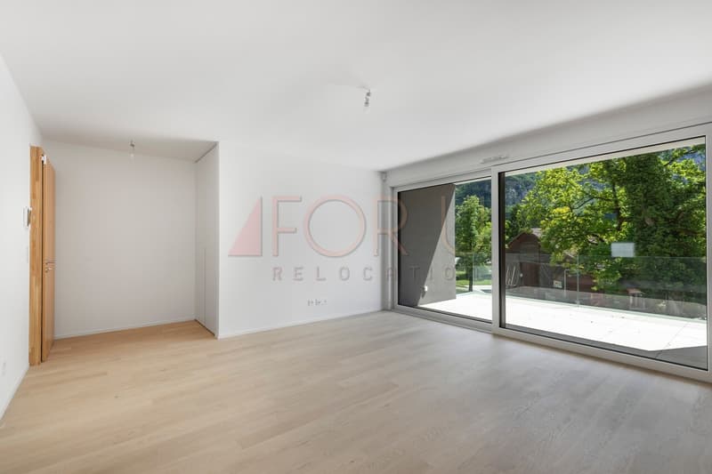 Superbe attique neuf de 4 pièces avec terrasse à Vessy (5)