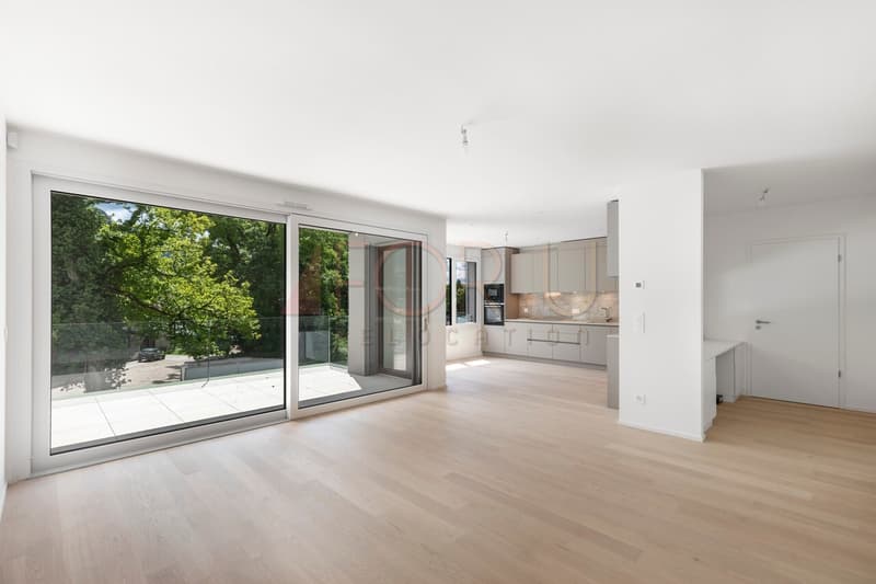 Superbe attique neuf de 4 pièces avec terrasse à Vessy (3)