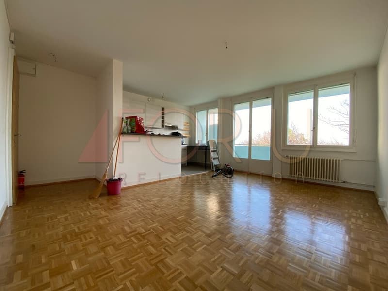 Appartement rénové de 3.5 pièces avec balcon au parc de Vermont (2)