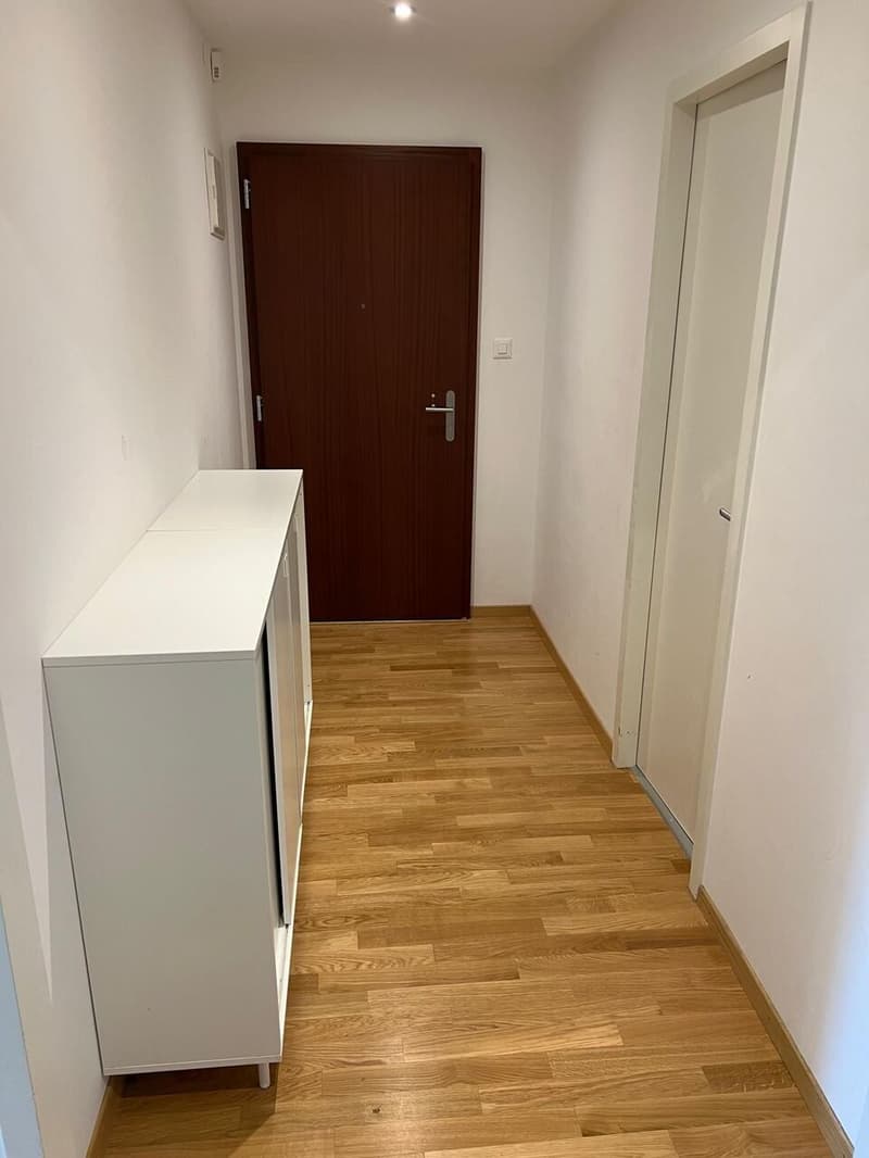 Très bel appartement rénové de 4 pièces avec balcon et bien localisé (7)
