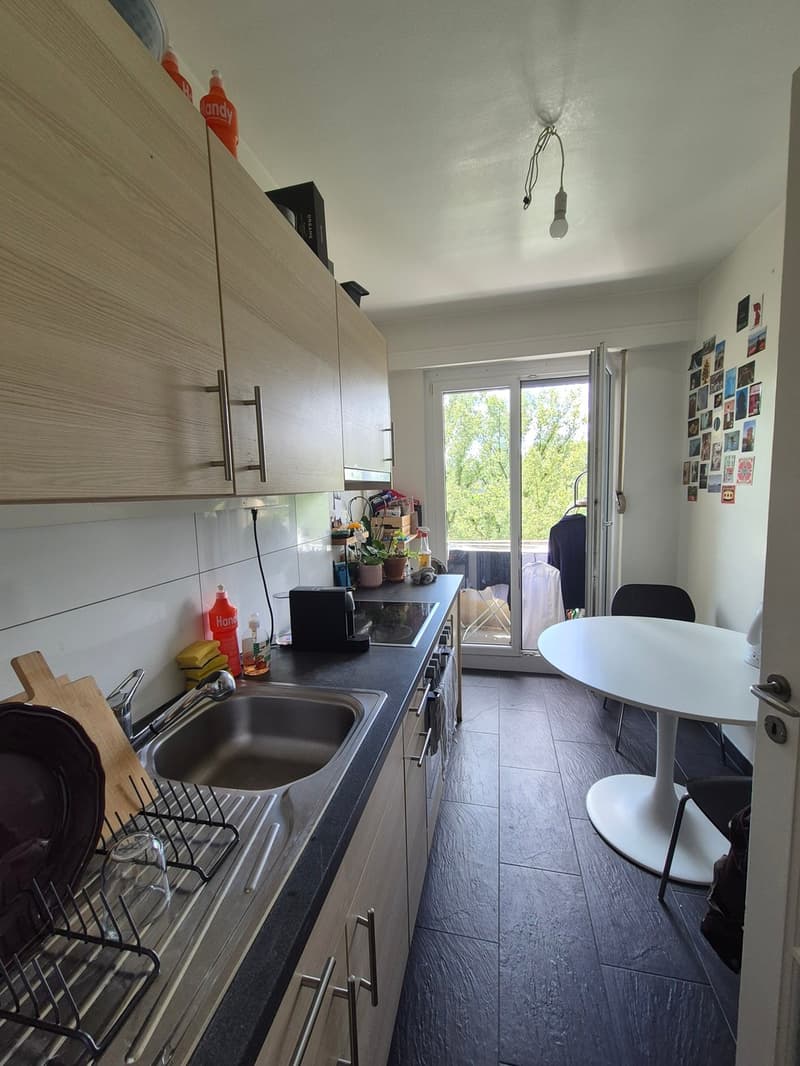 Appartement 2 pièces à Plainpalais (4)
