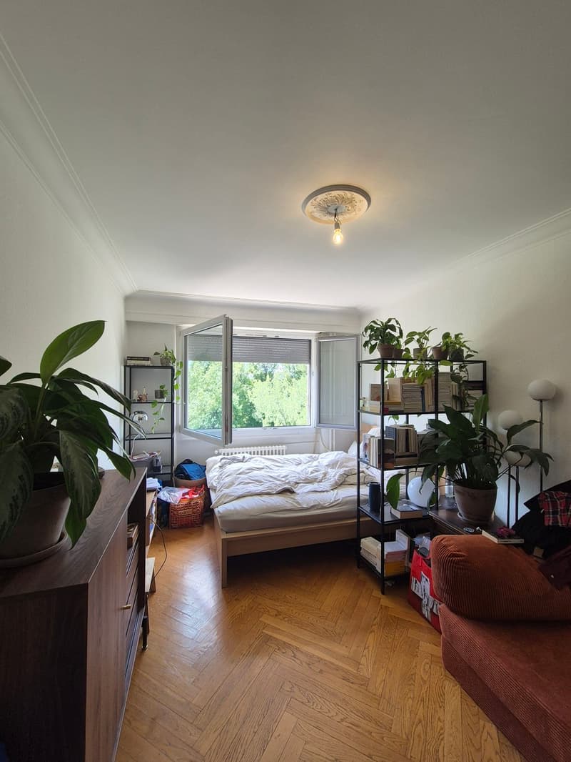 Appartement 2 pièces à Plainpalais (3)