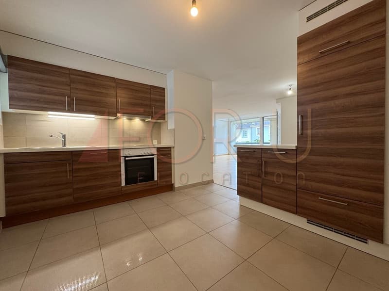 Beau duplex en attique de 7.5 pièces en surélévation aux Pâquis (3)