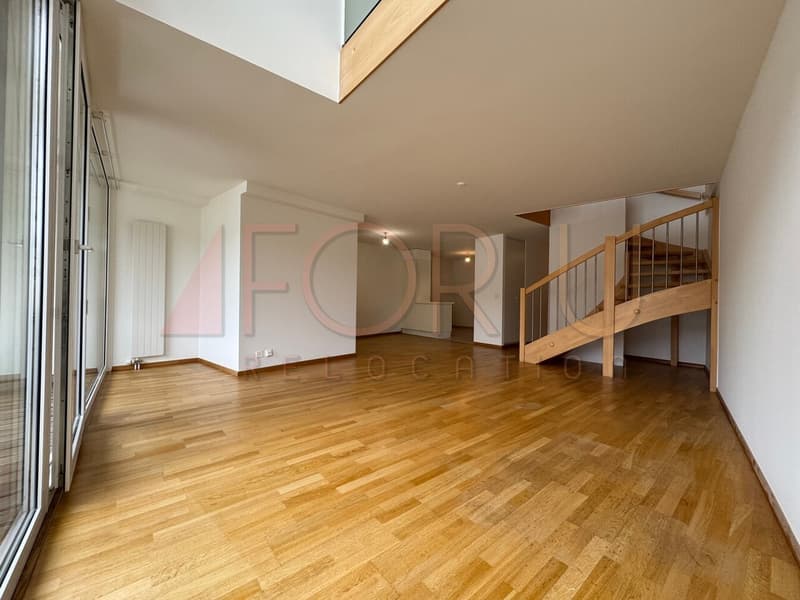 Beau duplex en attique de 7.5 pièces en surélévation aux Pâquis (2)