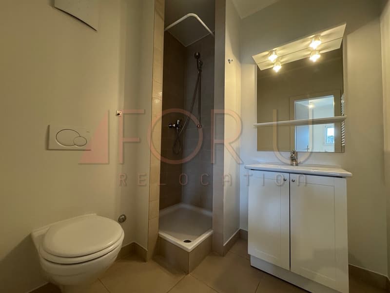 Beau duplex en attique de 7.5 pièces en surélévation aux Pâquis (11)