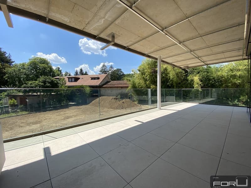 Superbe appartement de 4 pièces avec terrasse à Chêne-Bougeries (6)