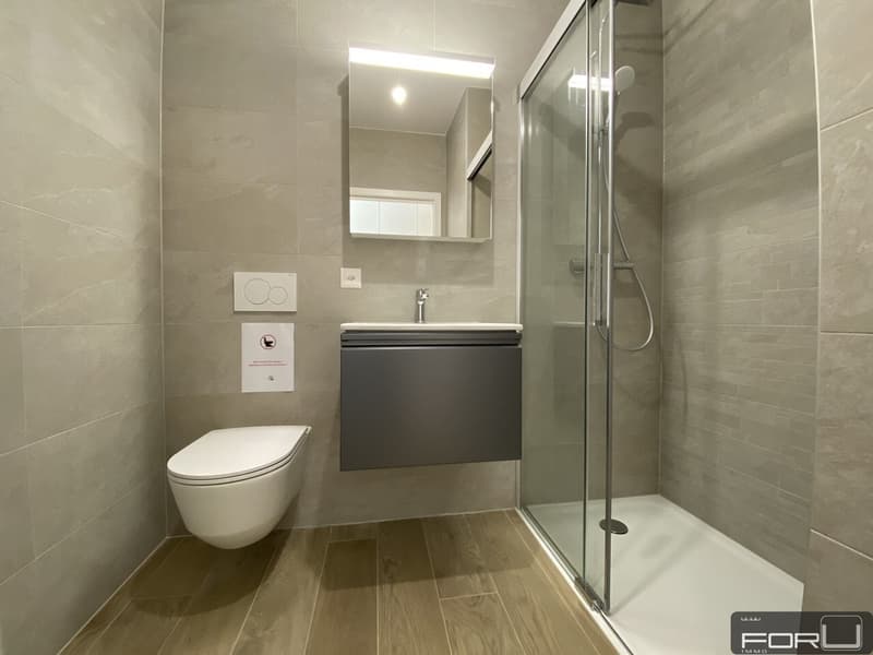 Superbe appartement de 4 pièces avec terrasse à Chêne-Bougeries (12)
