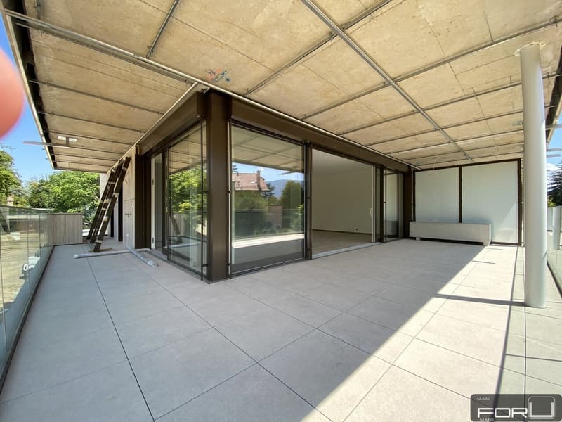 Superbe appartement de 4 pièces avec terrasse à Chêne-Bougeries (8)