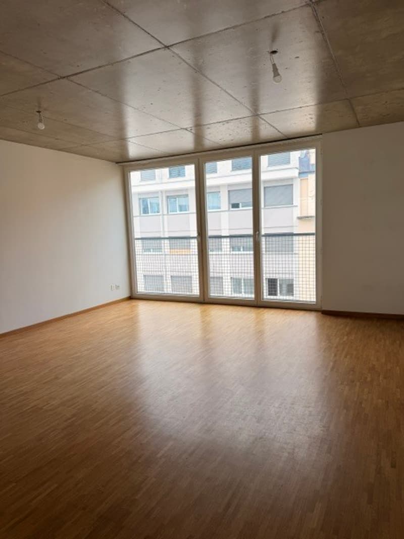 RARE EAUX VIVES 6P DUPLEX ATTIQUE TERRASSE (4)