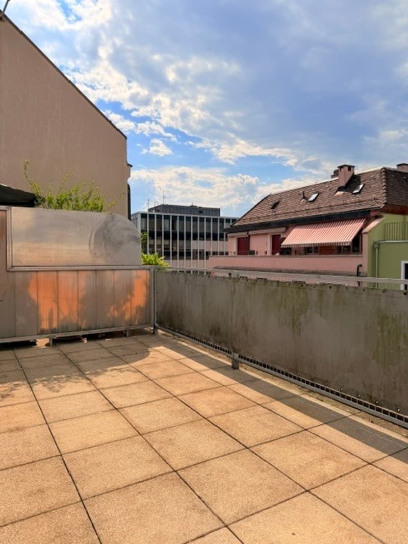 RARE EAUX VIVES 6P DUPLEX ATTIQUE TERRASSE (2)