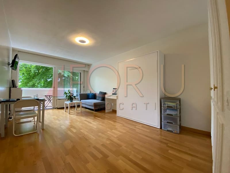 Studio confortable au calme avec balcon et piscine à Cologny (2)