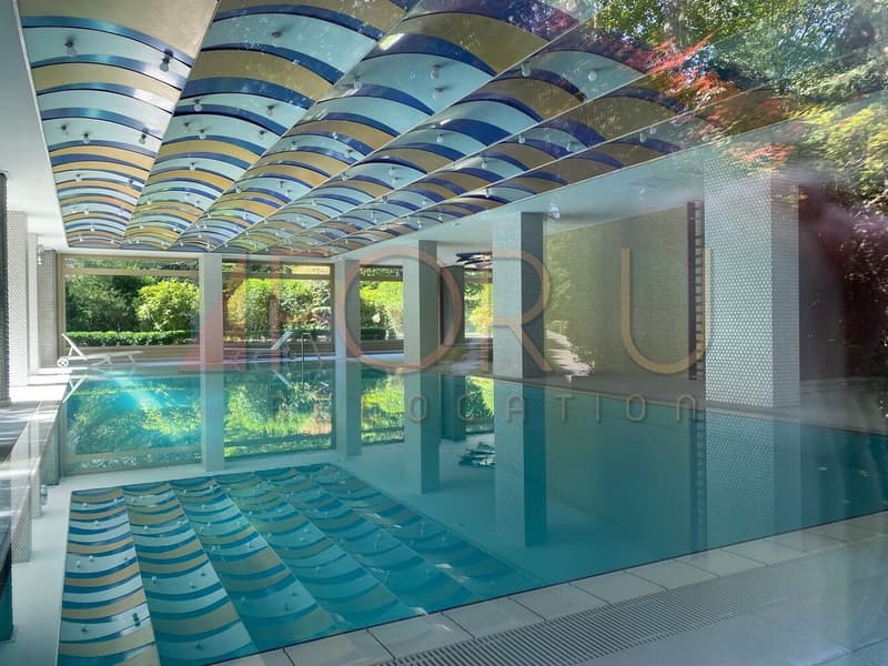 Studio confortable au calme avec balcon et piscine à Cologny (6)