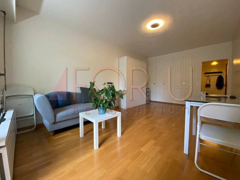 Studio confortable au calme avec balcon et piscine à Cologny (3)