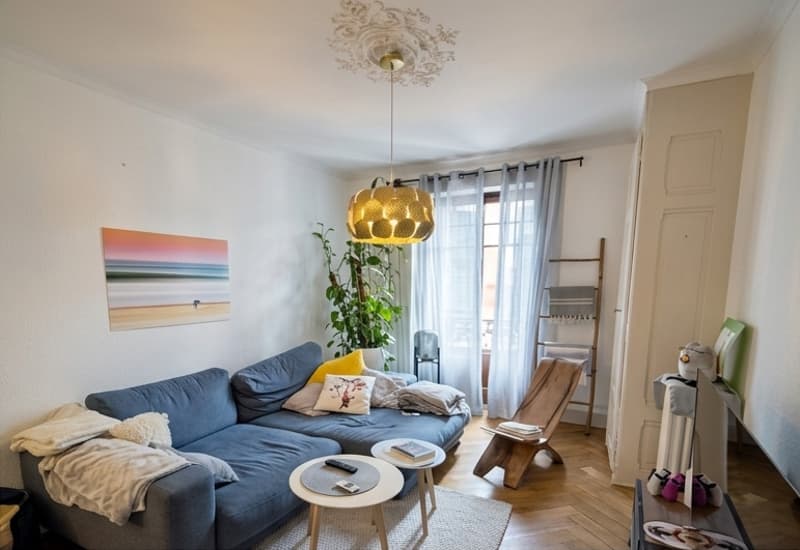 Bel appartement 3 pièces avec balcon proche du parc des Eaux-Vives (1)