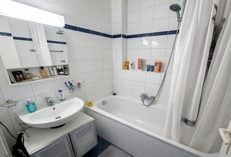 Bel appartement 3 pièces avec balcon proche du parc des Eaux-Vives (2)