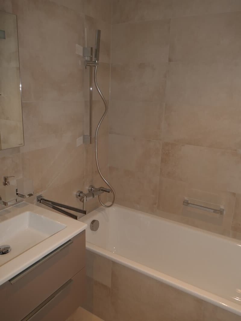 Superbe attique 4 pièces en surélévation avec balcons aux Eaux-Vives (9)