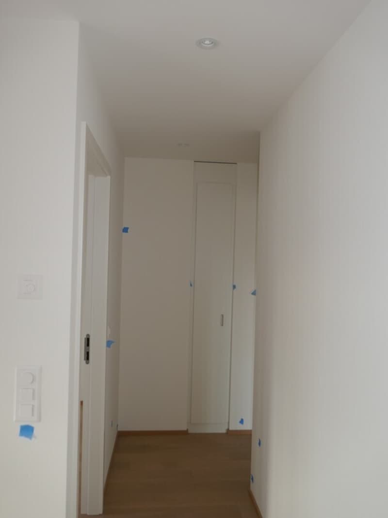 Superbe attique 4 pièces en surélévation avec balcons aux Eaux-Vives (12)