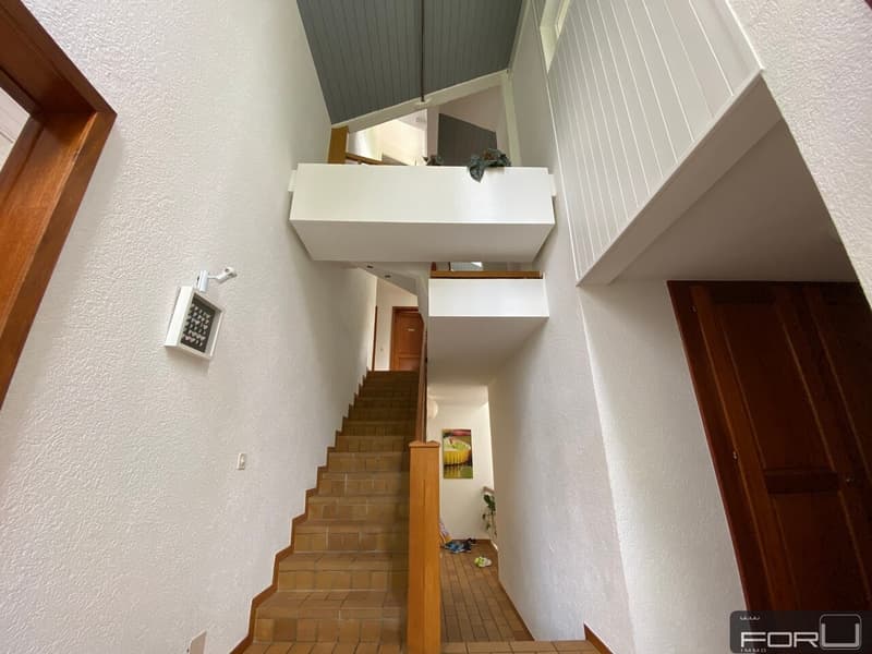 Belle villa individuelle au calme avec grand jardin à Carouge (11)
