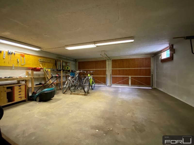 Belle villa individuelle au calme avec grand jardin à Carouge (13)