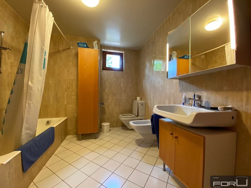 Belle villa individuelle au calme avec grand jardin à Carouge (9)