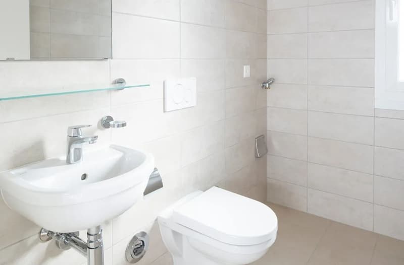 Très beau 4 pièces dans immeuble récent à Lancy (/!\ conditions HM) (3)