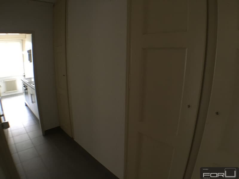 Bel appartement traversant de 3 pièces au calme dans les Pâquis (5)