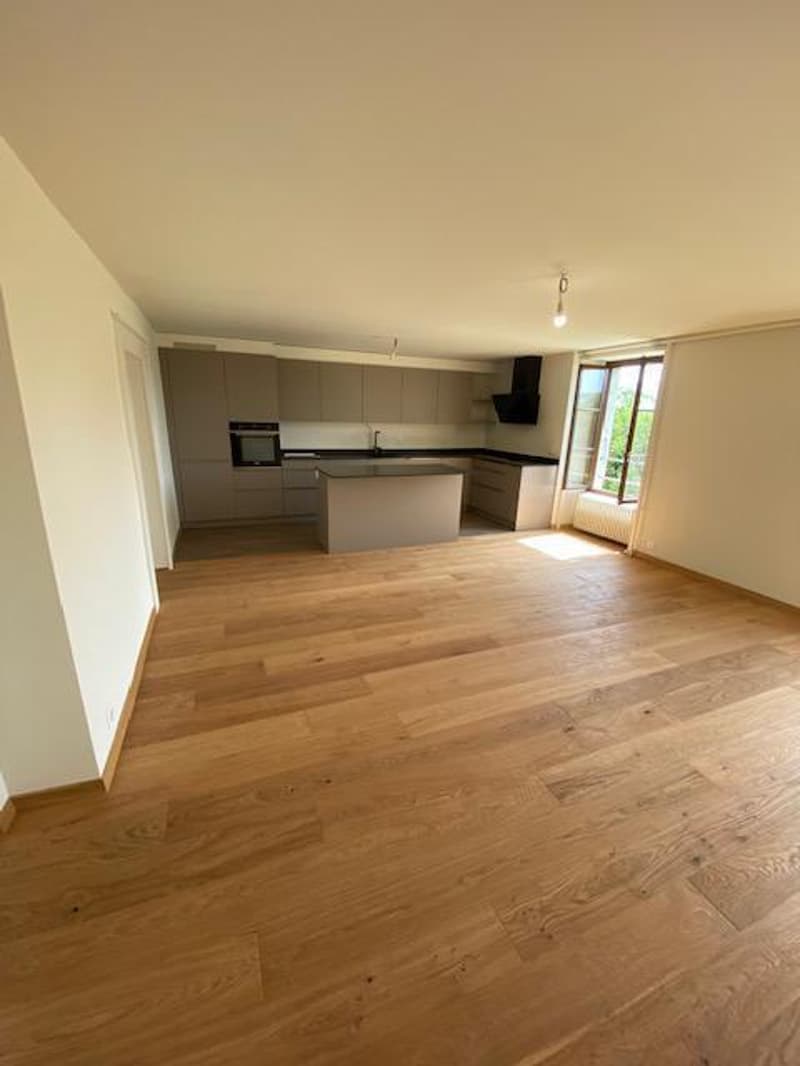 Très bel attique moderne de 5 pièces avec jardin à Avusy (2)