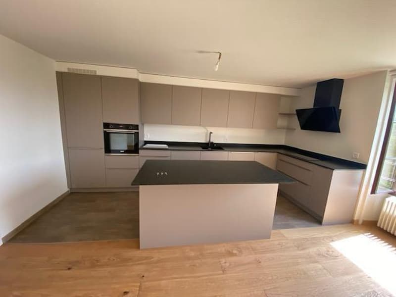 Très bel attique moderne de 5 pièces avec jardin à Avusy (3)