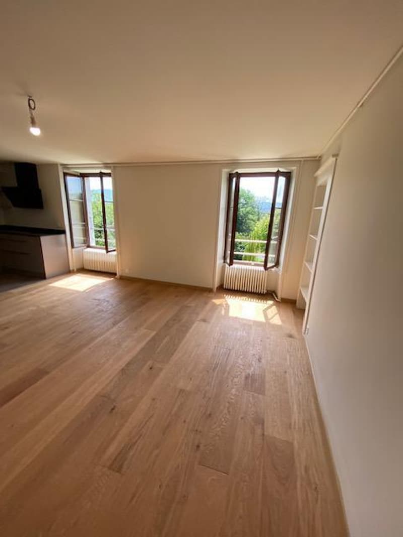 Très bel attique moderne de 5 pièces avec jardin à Avusy (4)