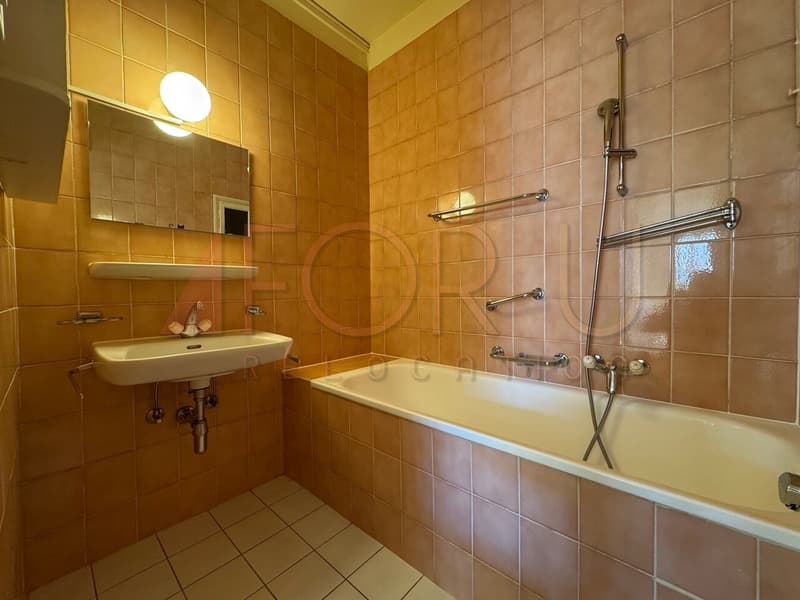 Bel appartement 4.5 pièces aux Eaux-Vives (/!\ pas d'ascenseur) (9)