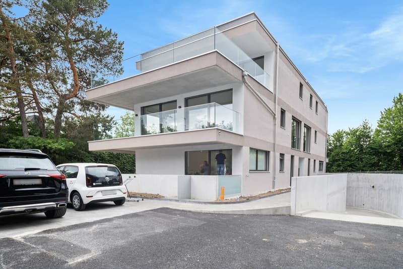 Très beau 4 pièces moderne avec terrasse à Cologny (12)