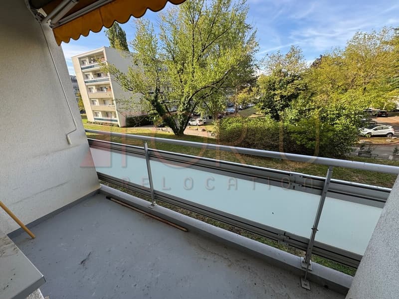 Appartement de 3 pièces entièrement refait à neuf avec balcon à Meyrin (1)