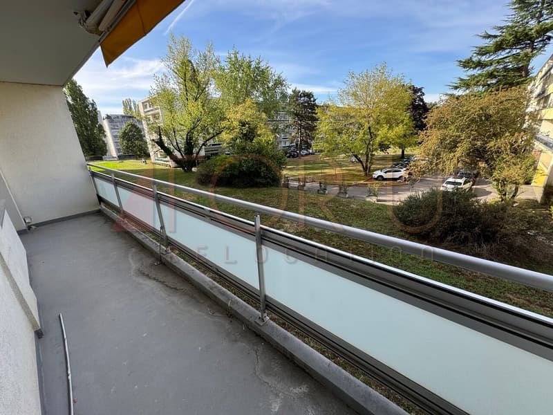 Appartement de 4 pièces entièrement refait à neuf avec balcon à Meyrin (1)