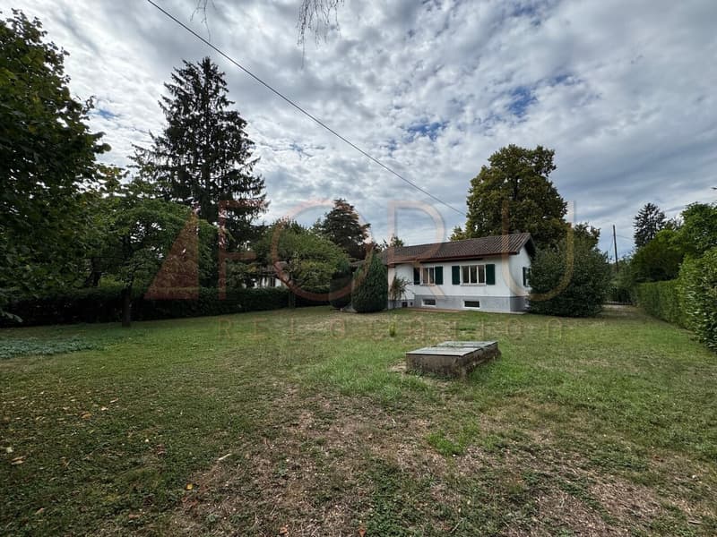 Très belle maison individuelle rénovée avec grand jardin à Chêne-Bourg (1)