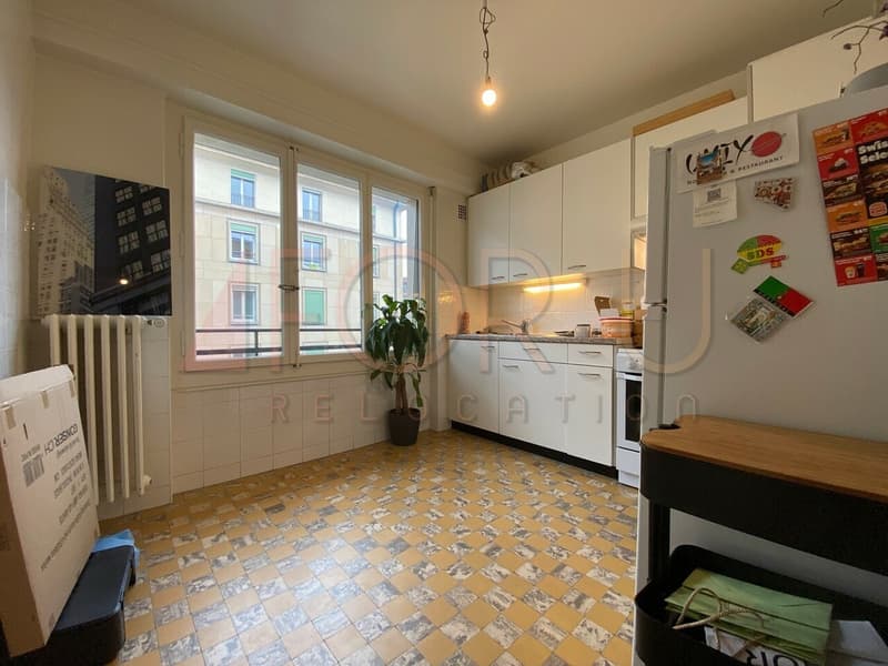 Sympathique appartement 2 pièces de style ancien aux Pâquis (2)