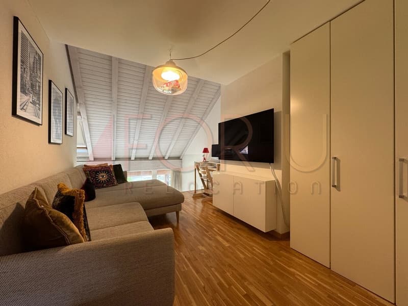 Unique, beau et grand triplex 6.5 pièces en attique à Plan-les-Ouates (8)