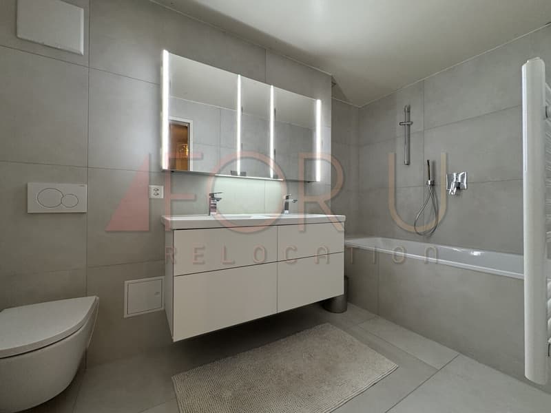 Unique, beau et grand triplex 6.5 pièces en attique à Plan-les-Ouates (7)
