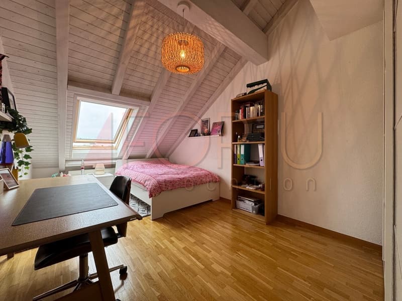 Unique, beau et grand triplex 6.5 pièces en attique à Plan-les-Ouates (9)