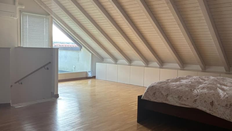 Unique, beau et grand triplex 6.5 pièces en attique à Plan-les-Ouates (11)