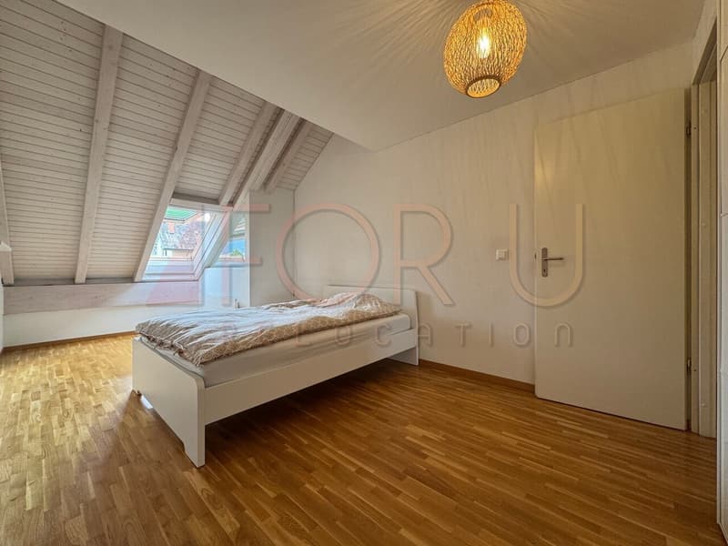 Unique, beau et grand triplex 6.5 pièces en attique à Plan-les-Ouates (10)