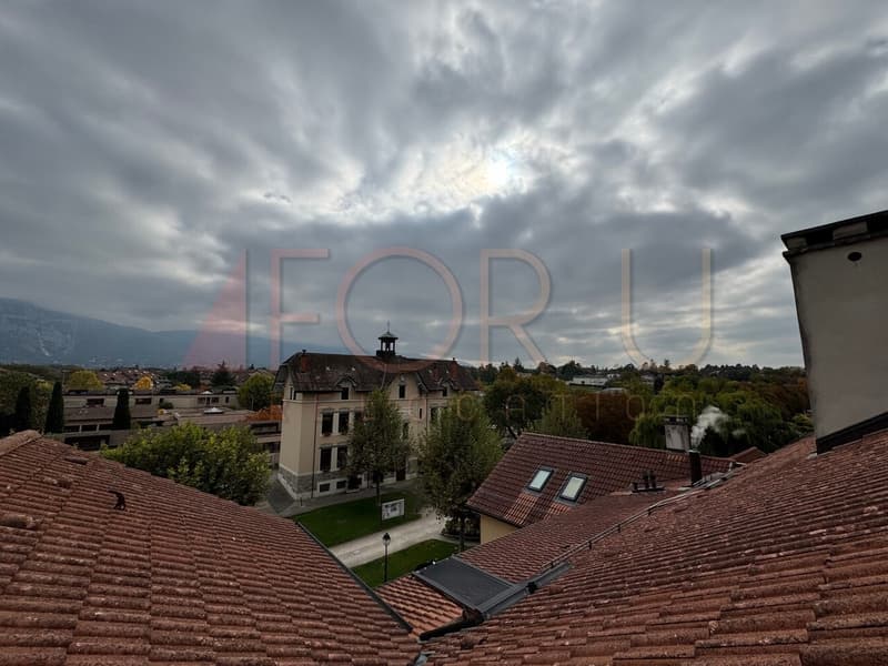 Unique, beau et grand triplex 6.5 pièces en attique à Plan-les-Ouates (13)