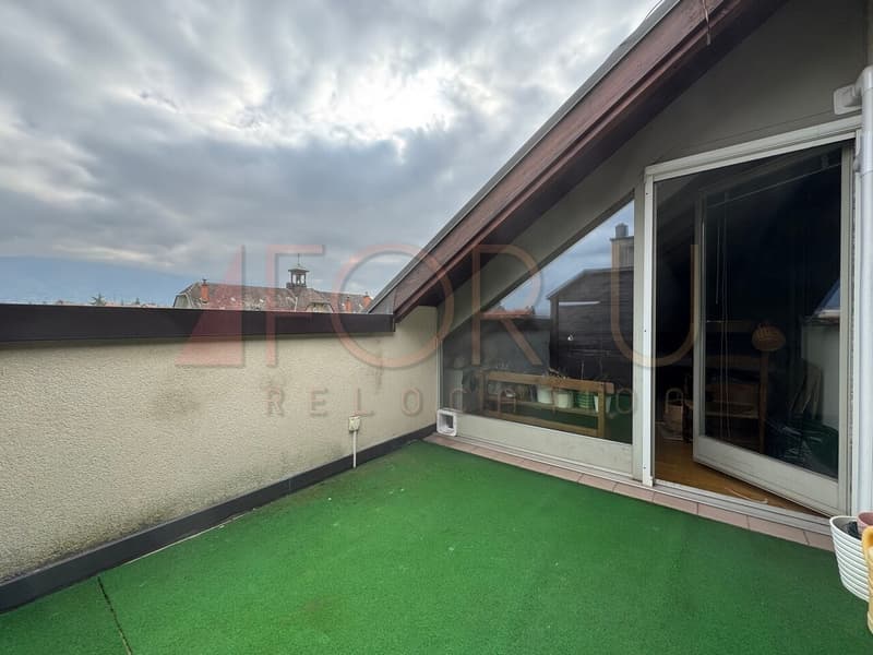 Unique, beau et grand triplex 6.5 pièces en attique à Plan-les-Ouates (12)