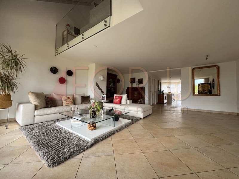 Unique, beau et grand triplex 6.5 pièces en attique à Plan-les-Ouates (2)