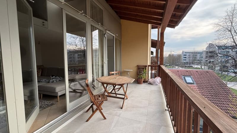 Unique, beau et grand triplex 6.5 pièces en attique à Plan-les-Ouates (3)